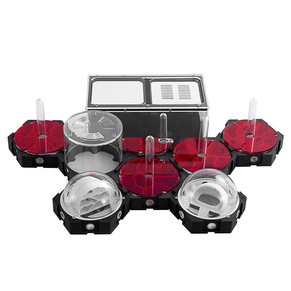 Begonia Rex - 3d Printing Mierenboerderij Oneindig Uitbreidbaar Mierennest
