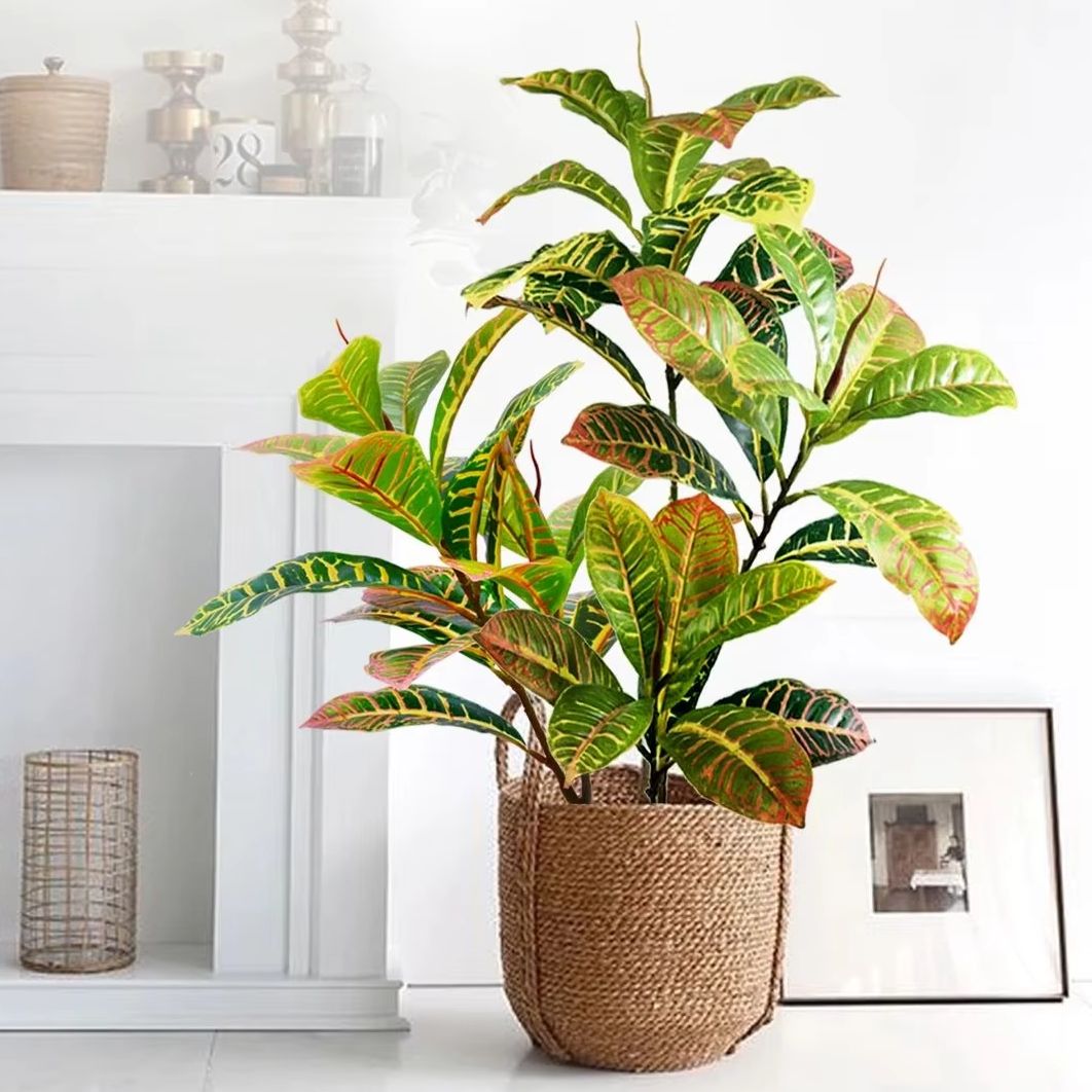 Dracaena Marginata - 21-120 cm Kunstmatige Plant Nep Banyan