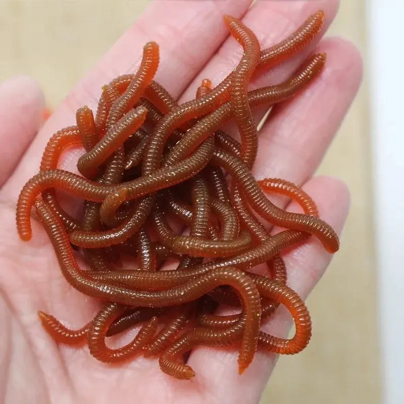 Aglaonema Red - Levensechte visachtige geur Rode zachte kunstaas