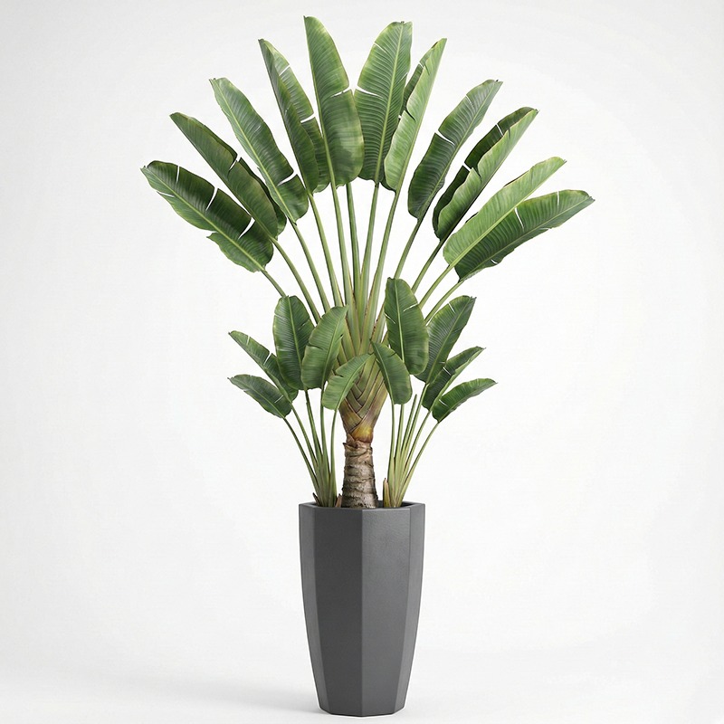Ficus Lyrata Tree - Hoogrealistische kunstmatige Ficus Lyrata bonsai, waterbestendig