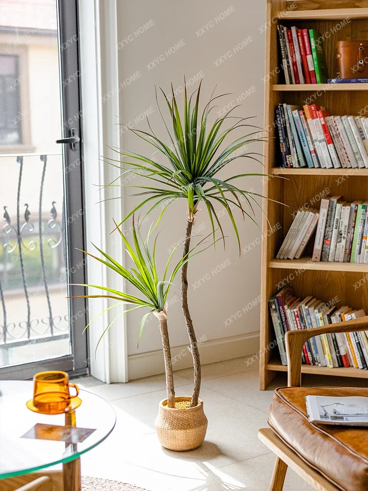 Dracaena Marginata - Licht Luxe Simulatie Groene Plant Agave