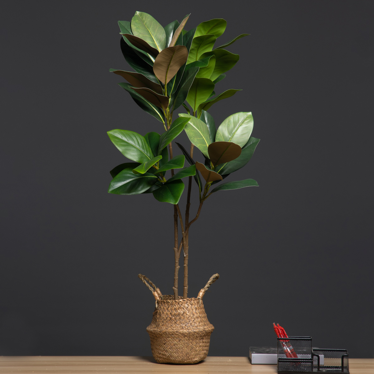 Dracaena Marginata - 105 cm 2 Vorken Grote Kunstplanten