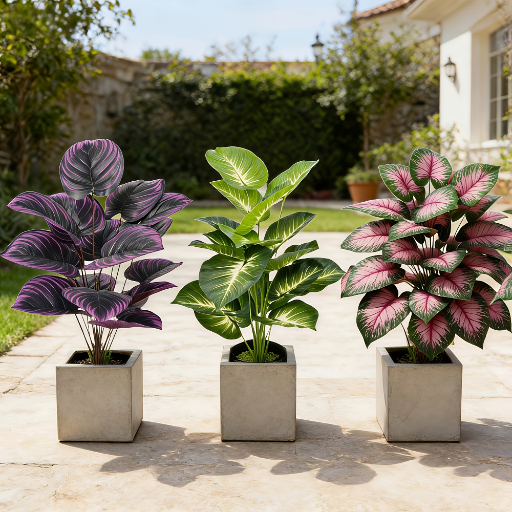3-delige set met diverse grote - Ficus Lyrata Tree recensie en prijs
