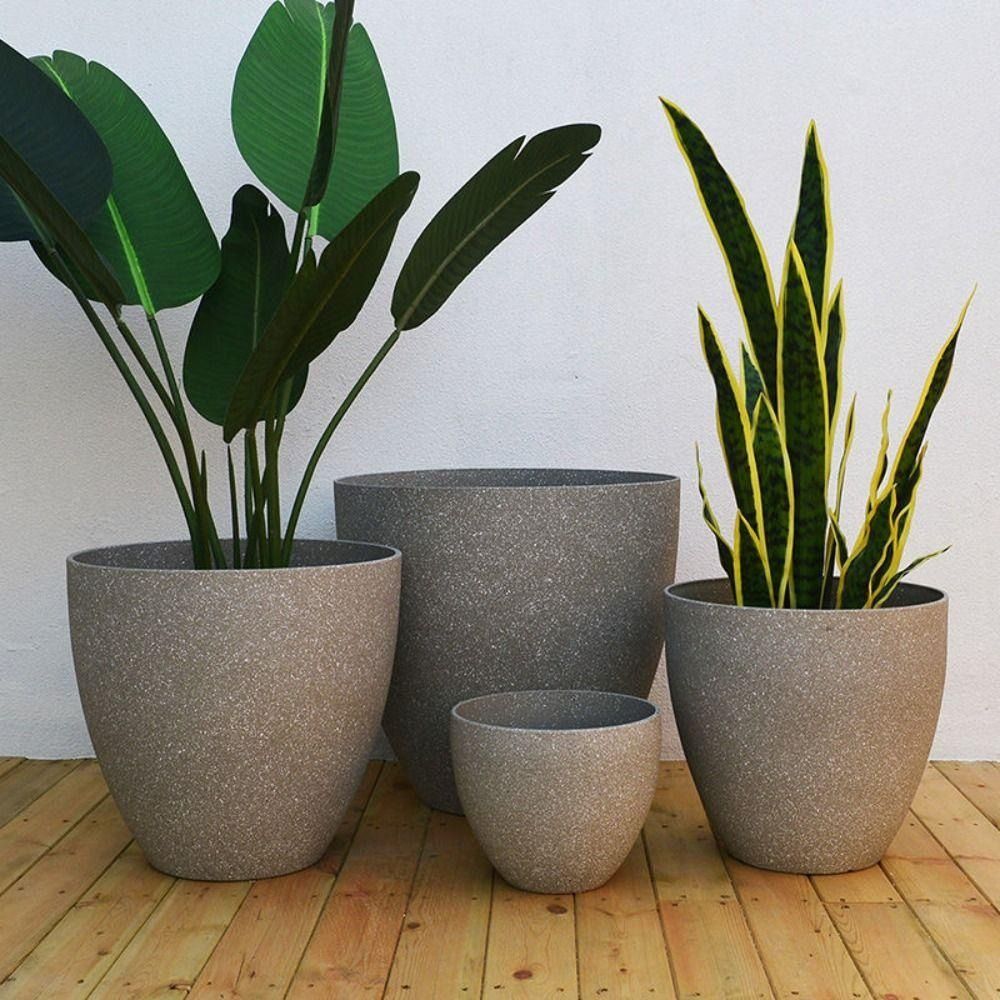 Frosted Imitatie Steen Bonsai  - Aloe Vera Pot recensie en prijs