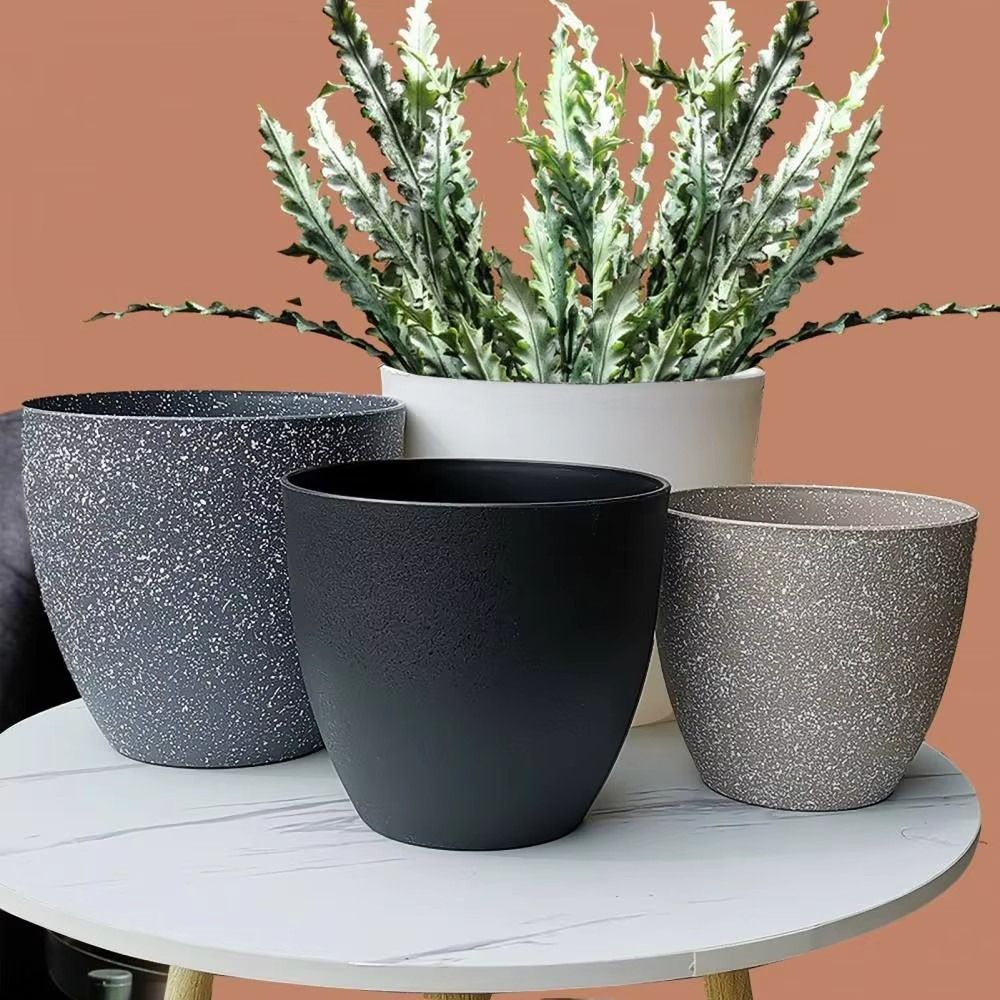 Frosted Imitatie Steen Bonsai  - Aloe Vera Pot recensie en prijs