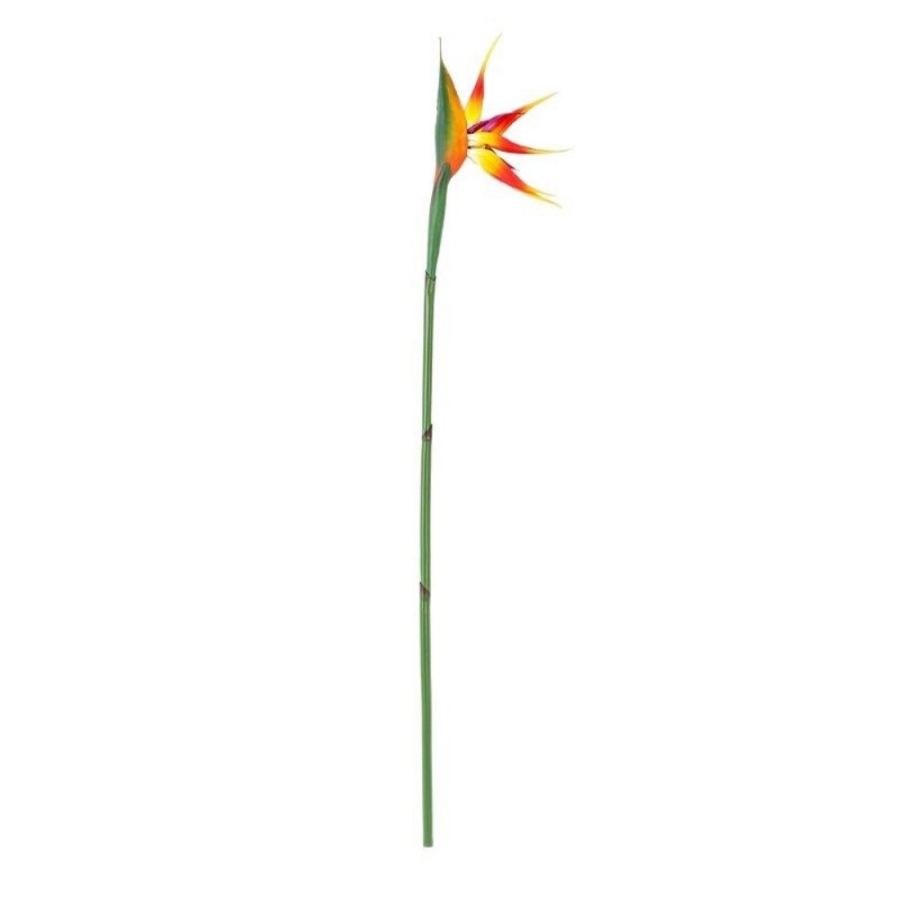 Nieuwe lange steel kunstmatige - Bird Paradise Strelitzia recensie en prijs