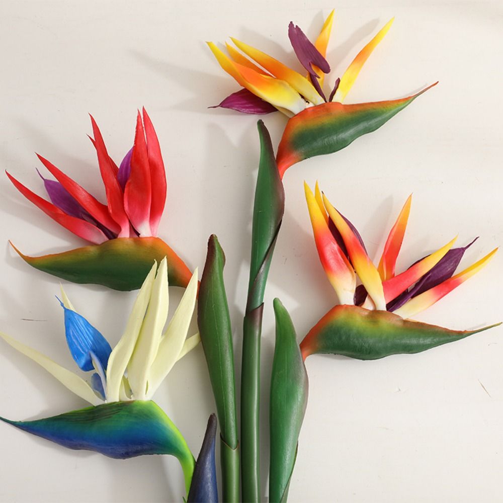Nieuwe lange steel kunstmatige - Bird Paradise Strelitzia recensie en prijs
