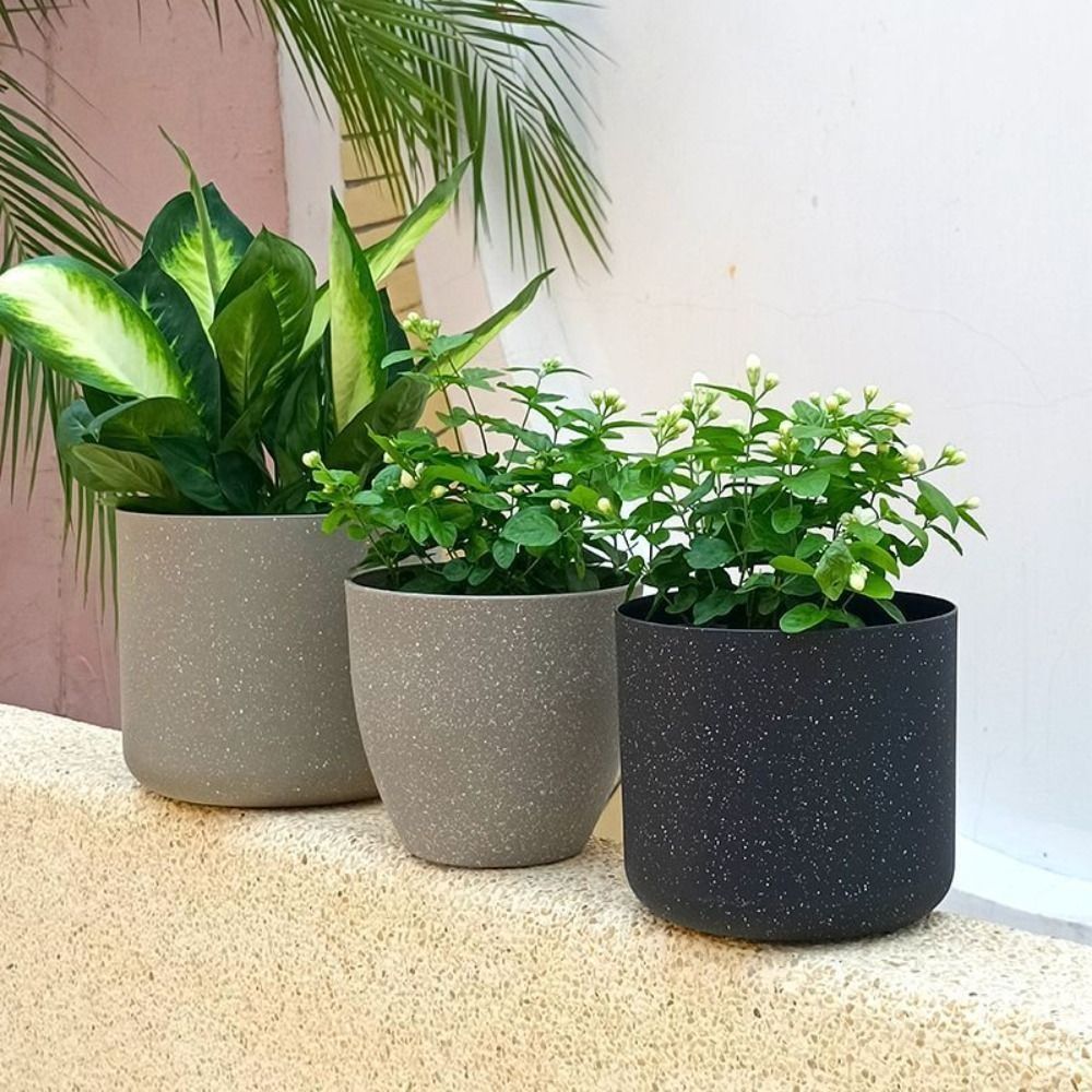 Frosted Imitatie Steen Bloempo - Aloe Vera Pot recensie en prijs