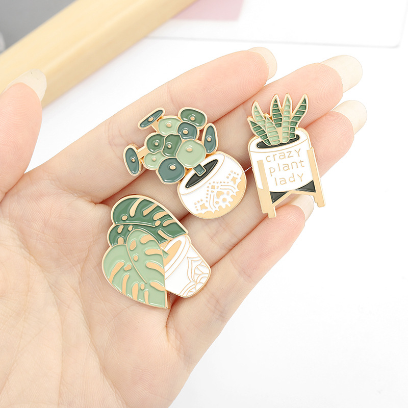 Potplant Broche Monstera Aloë  - Aloe Vera Pot recensie en prijs