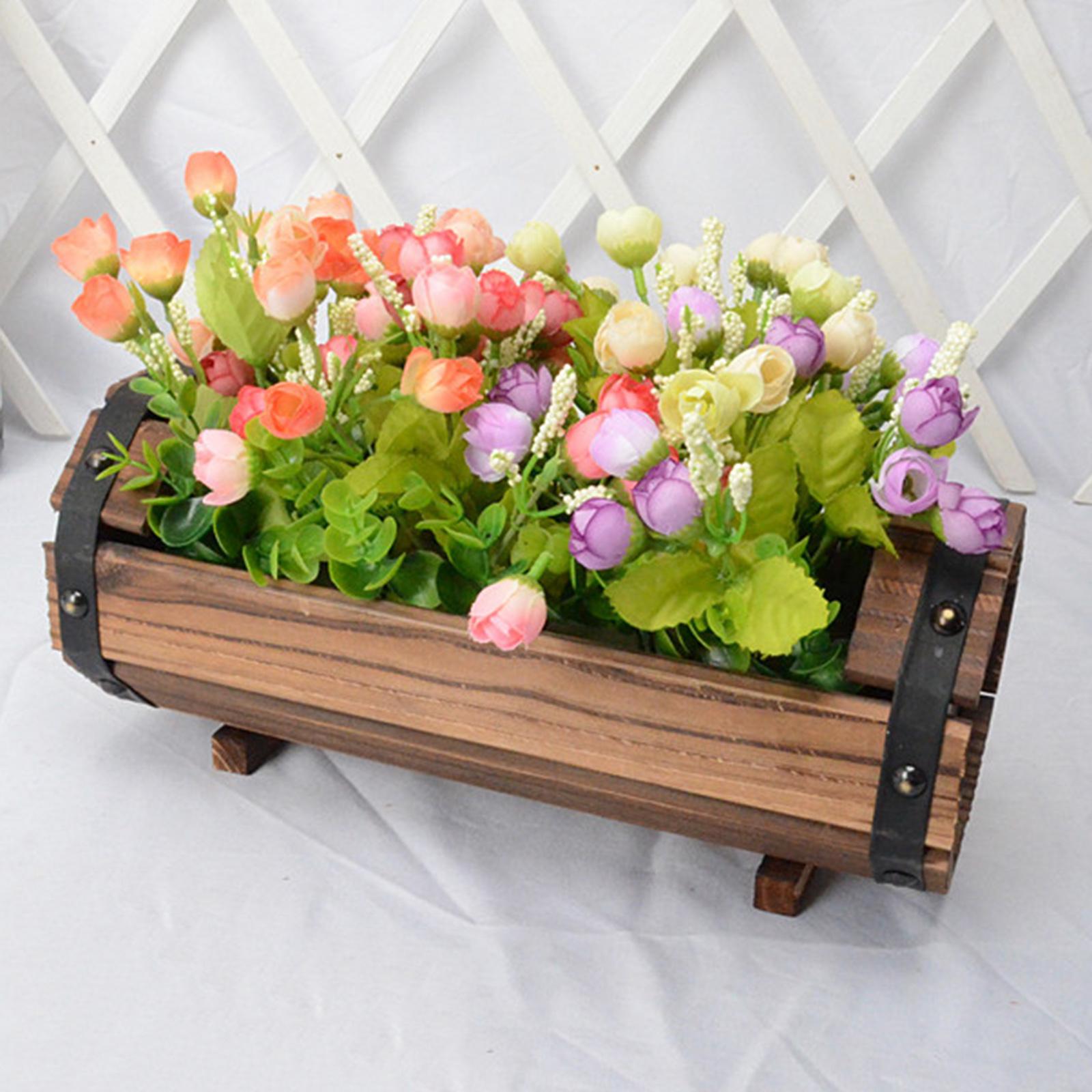 Antieke decoratieve bloempot s - Echeveria Succulent recensie en prijs