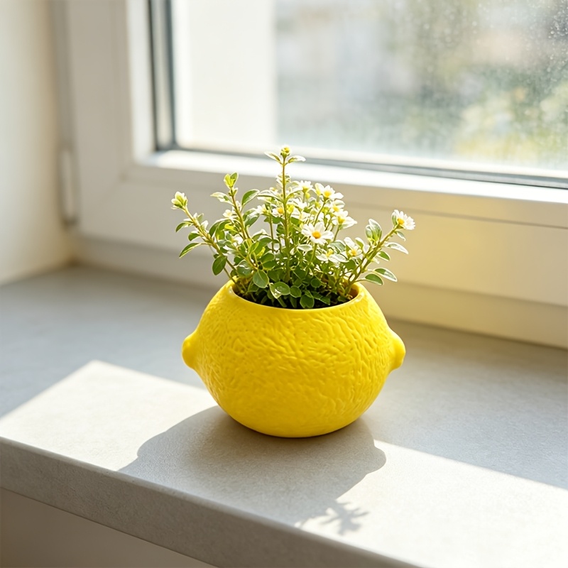 Citroenvormige decoratieve pla - Echeveria Succulent recensie en prijs