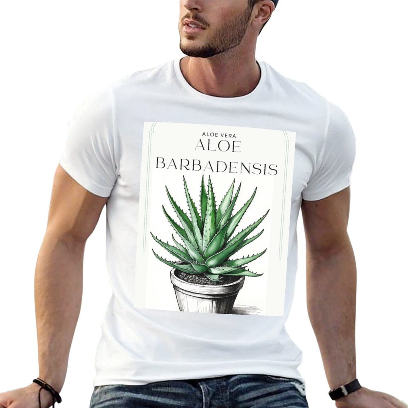 Botanische Aloë Vera in pot ru - Aloe Vera Pot recensie en prijs