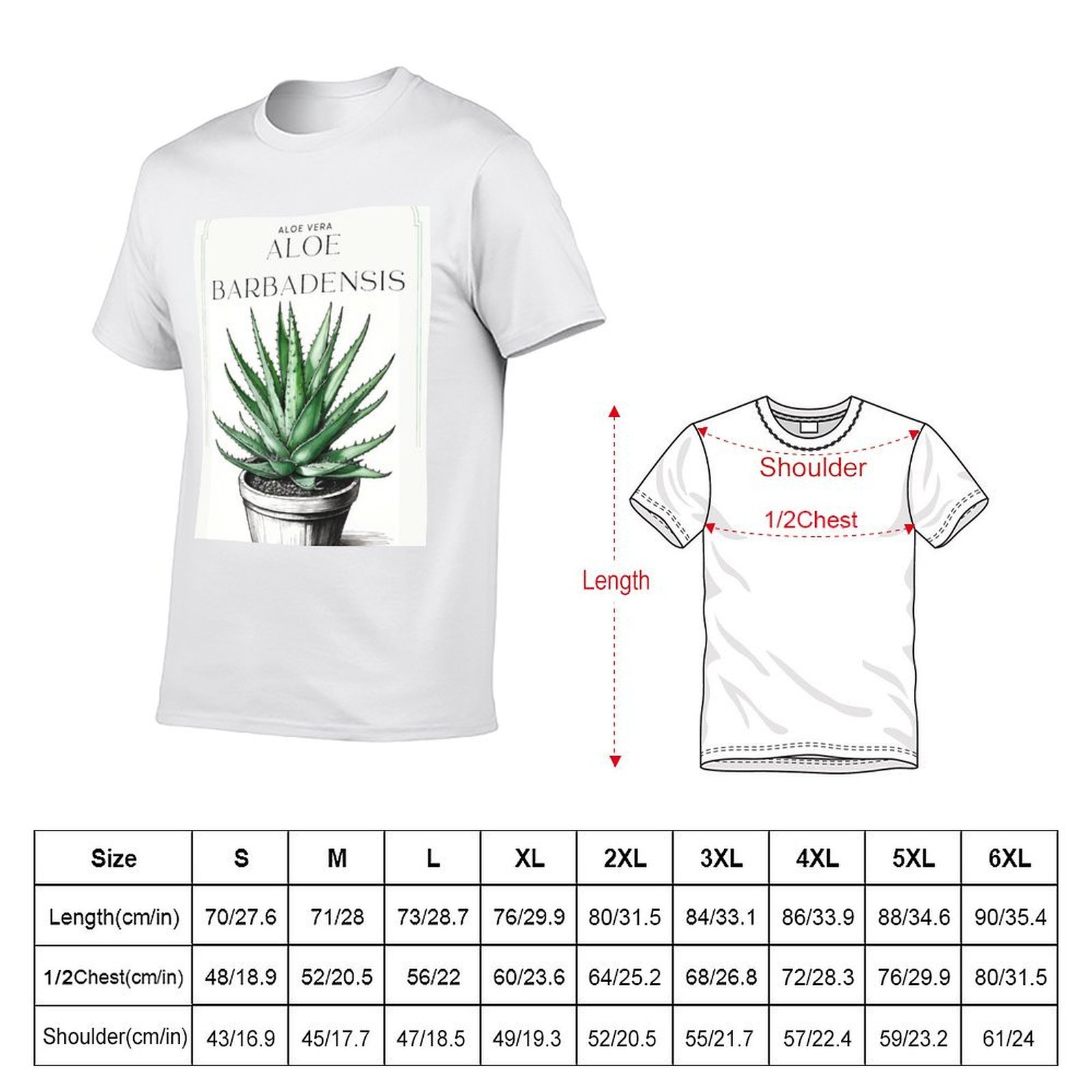 Botanische Aloë Vera in pot ru - Aloe Vera Pot recensie en prijs