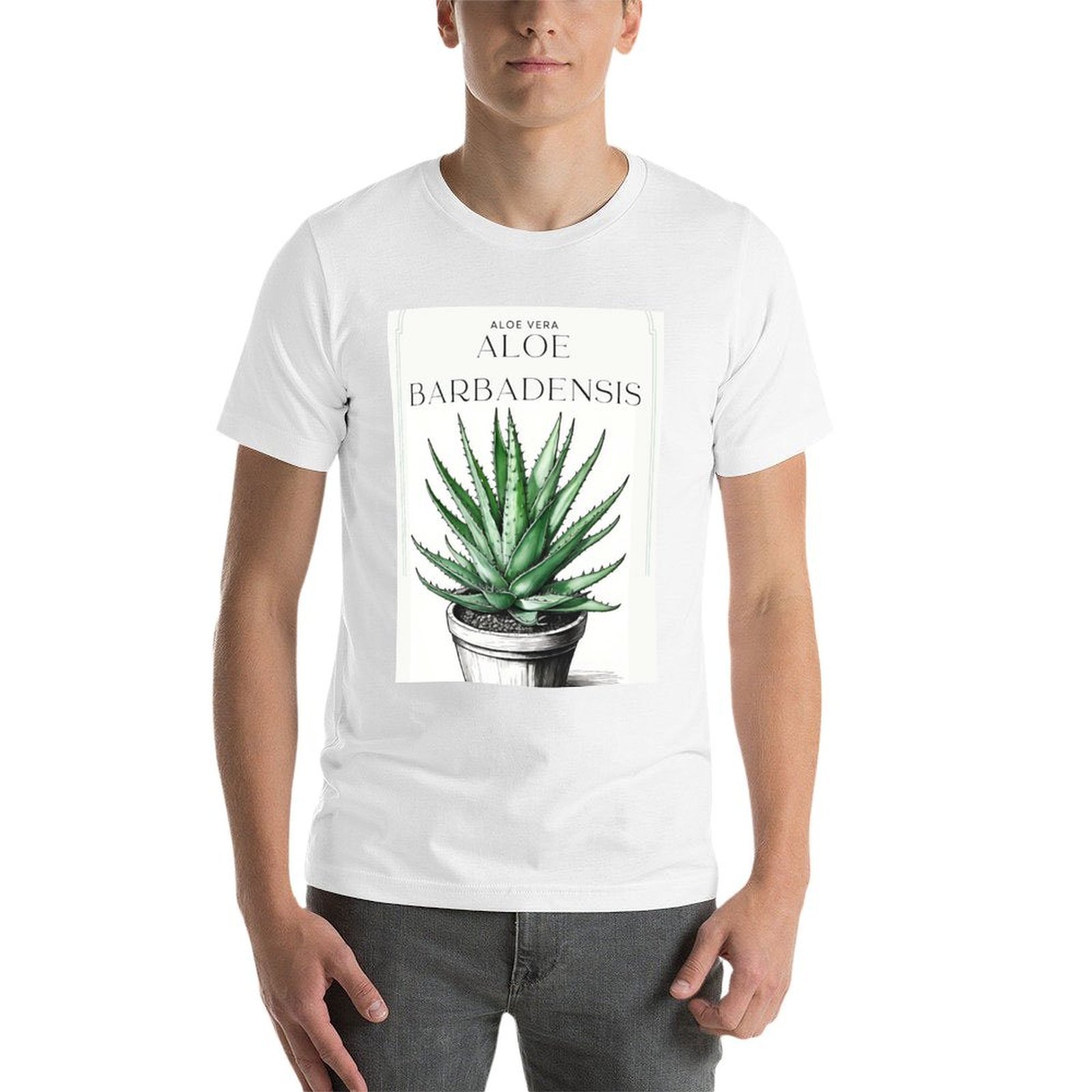 Botanische Aloë Vera in pot ru - Aloe Vera Pot recensie en prijs