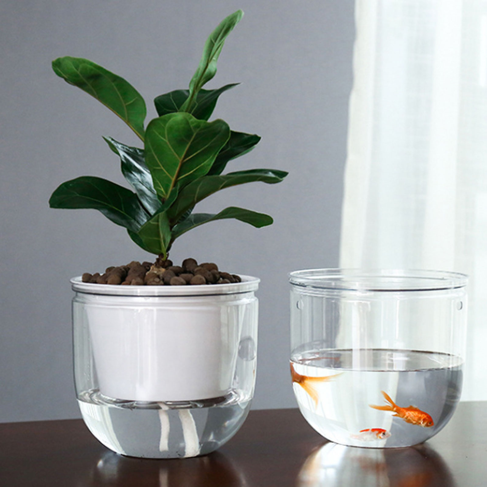 Automatische zelfwatergevende  - Spider Plant Hanging recensie en prijs