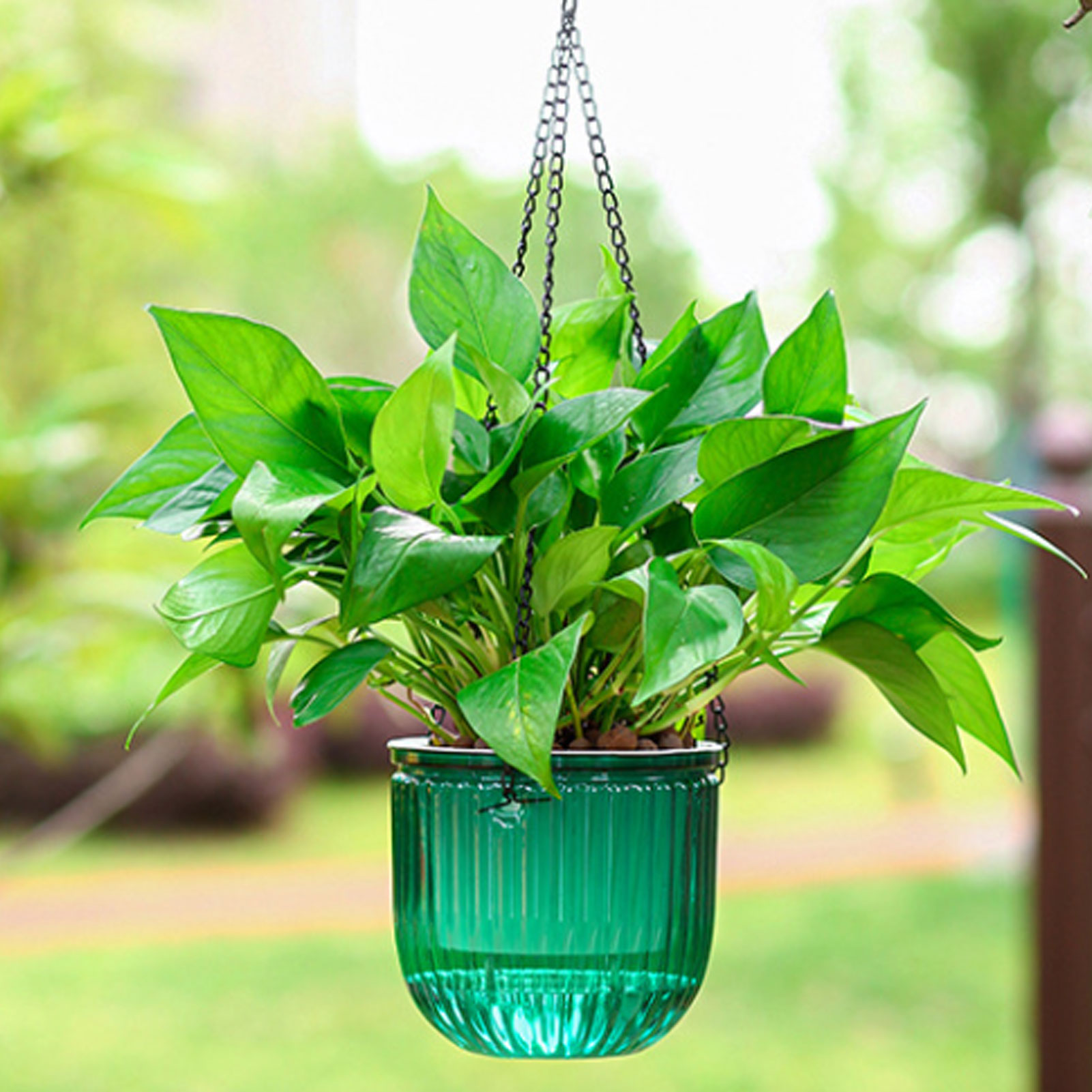 Automatische zelfwatergevende  - Spider Plant Hanging recensie en prijs