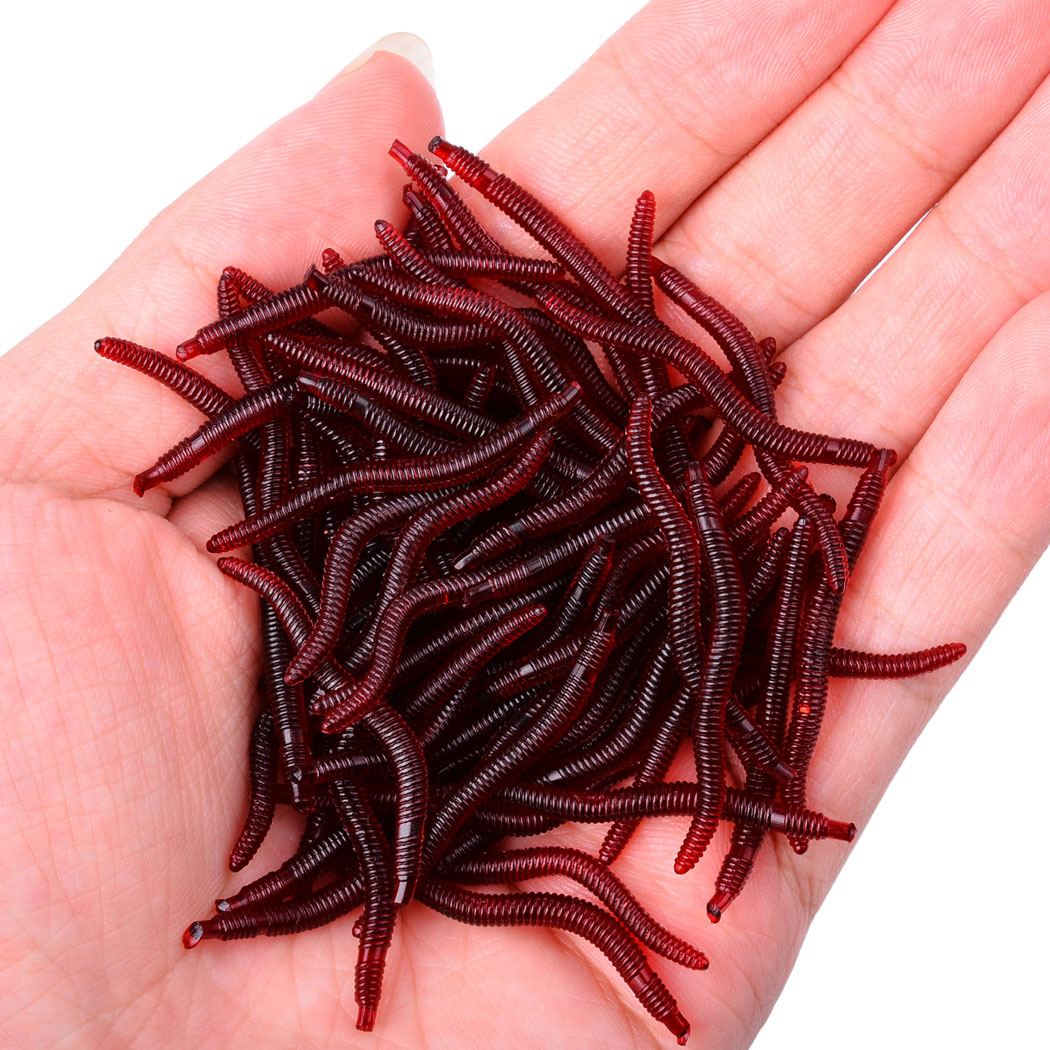 50Pcs Levensechte Rode Worm Za - Aglaonema Red recensie en prijs