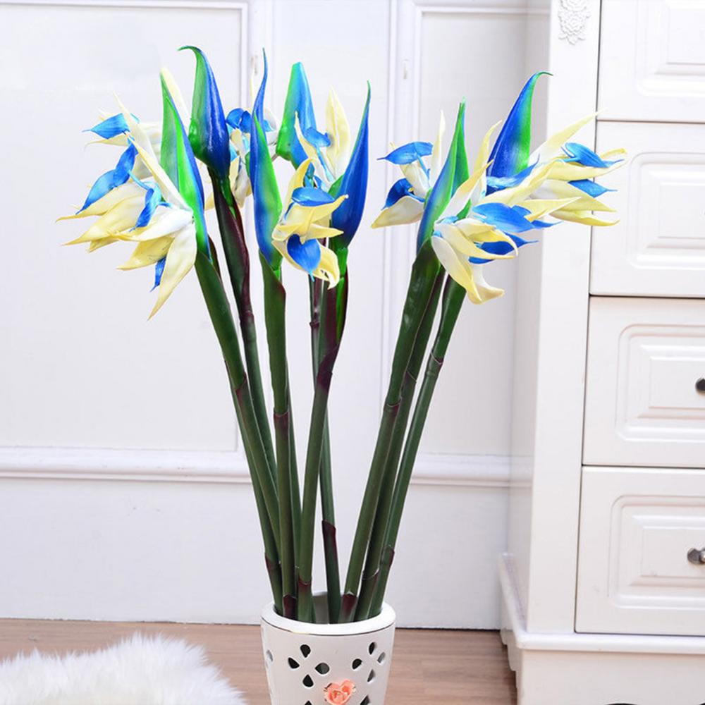 1Pc 80Cm Bloem Paradijsvogel K - Bird Paradise Strelitzia recensie en prijs