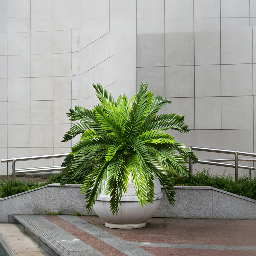 45cm Kunstmatige Palmplanten N - Dracaena Marginata recensie en prijs