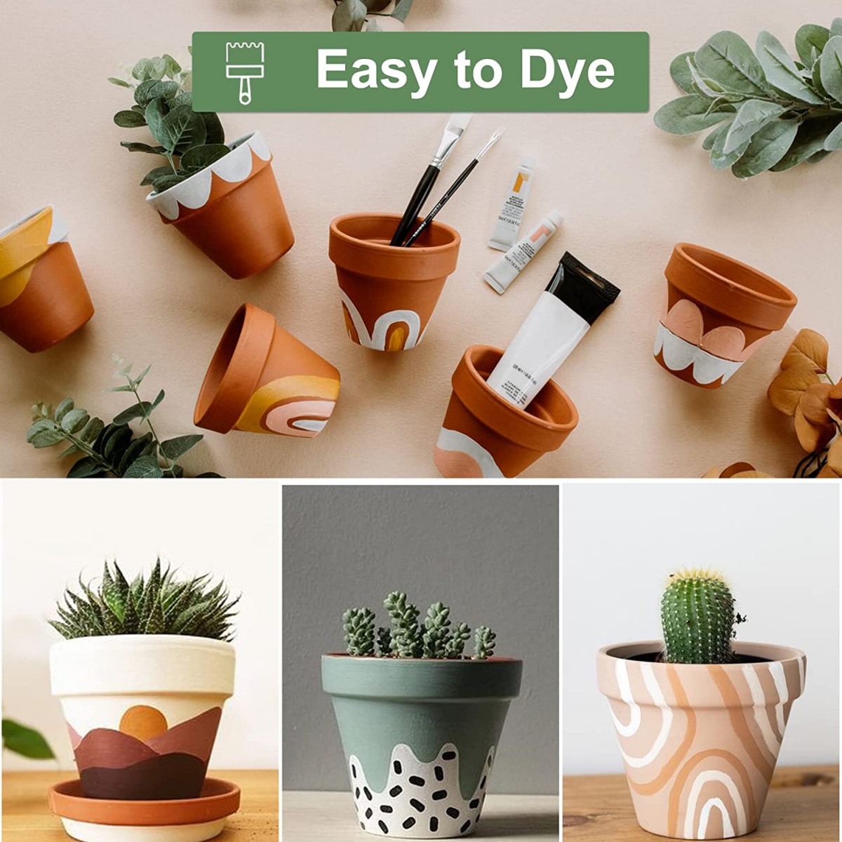 16 stuks 1,8 '' Terra Cotta po - Echeveria Succulent recensie en prijs