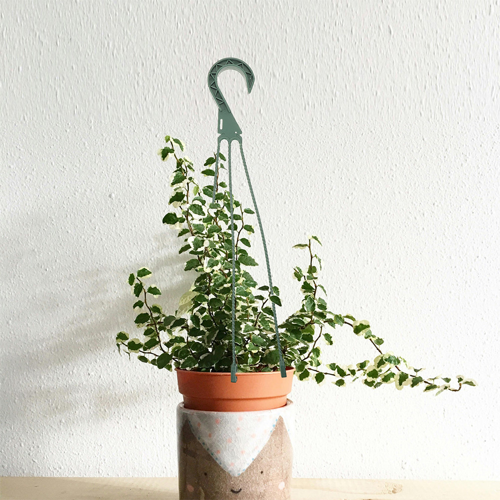 5 Stuks Hangende Plantenhaken  - Spider Plant Hanging recensie en prijs