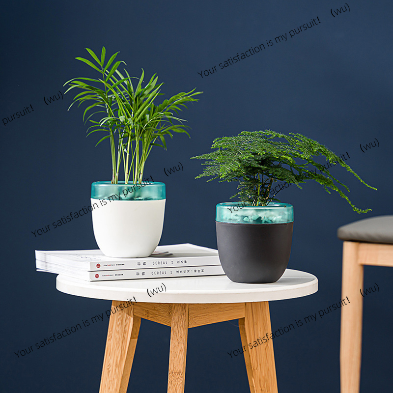 Automatische wateropname Luie  - Aloe Vera Pot recensie en prijs