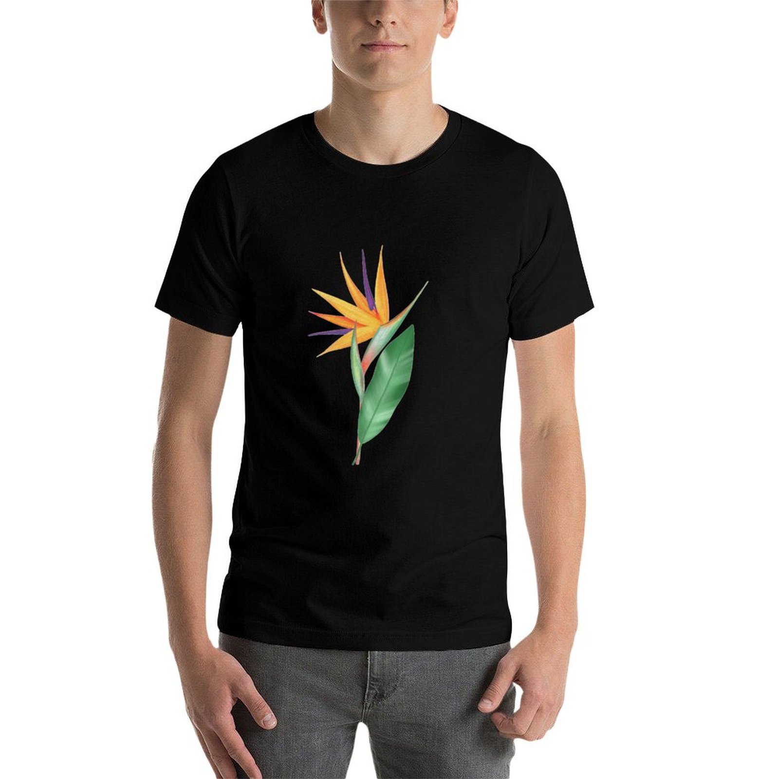 Aquarel paradijsvogelbloem of  - Bird Paradise Strelitzia recensie en prijs