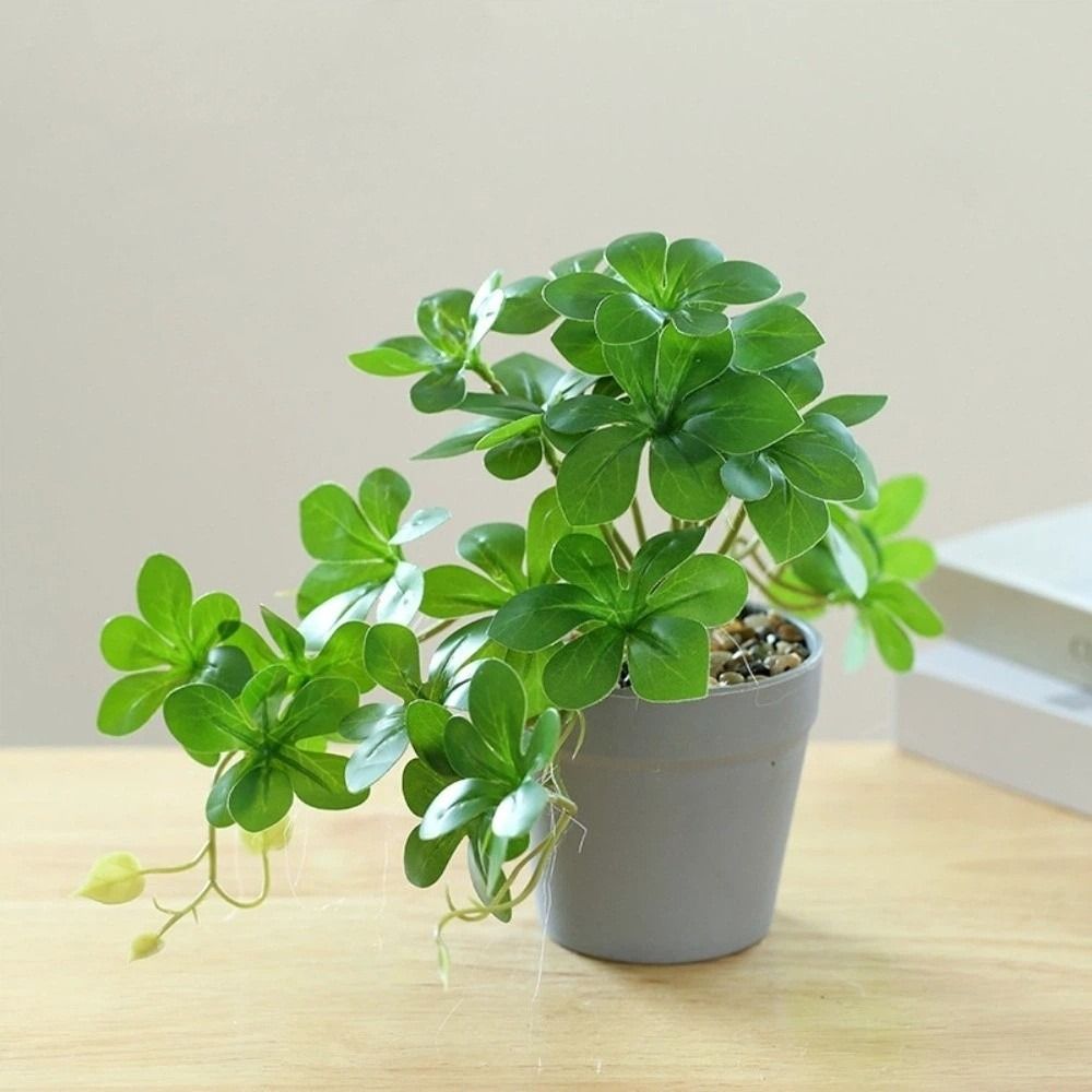 Bonsai Kunstmatige Bonsai Plan - Spider Plant Hanging recensie en prijs