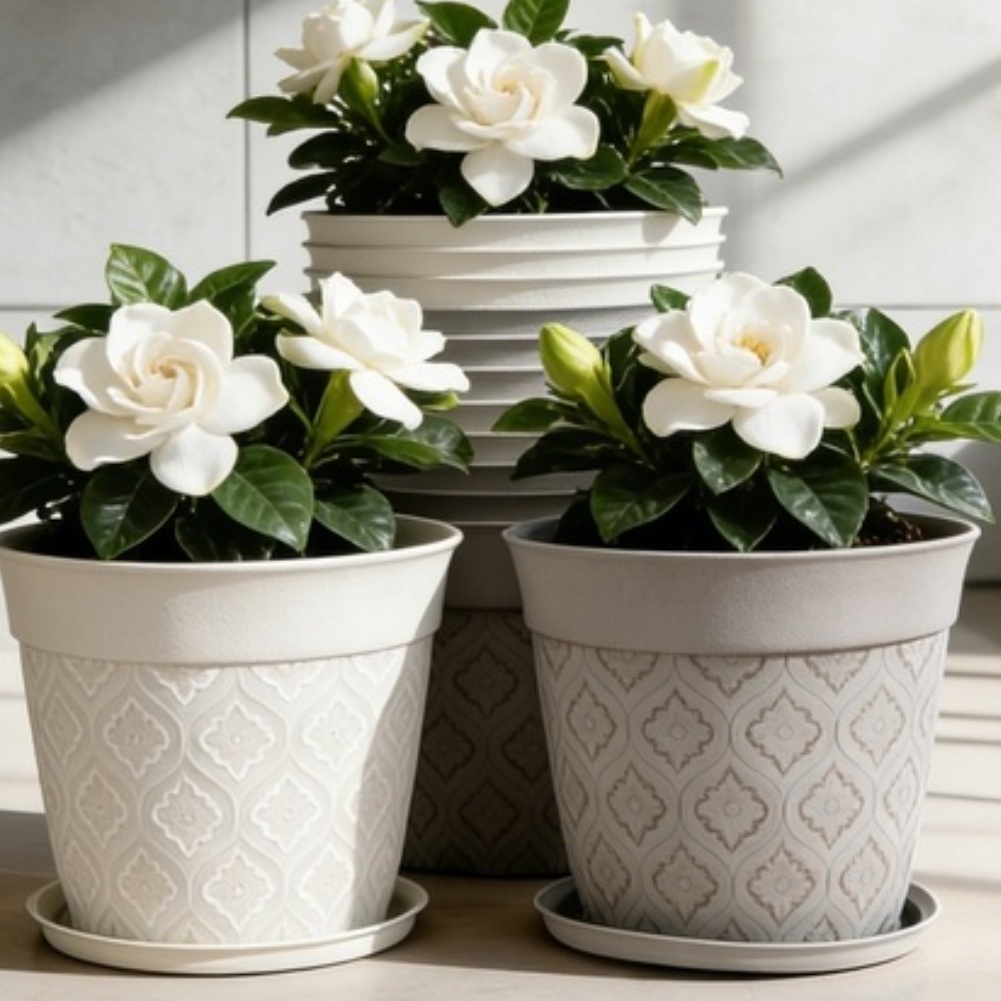 8 inch bloempot met drainagega - Echeveria Succulent recensie en prijs
