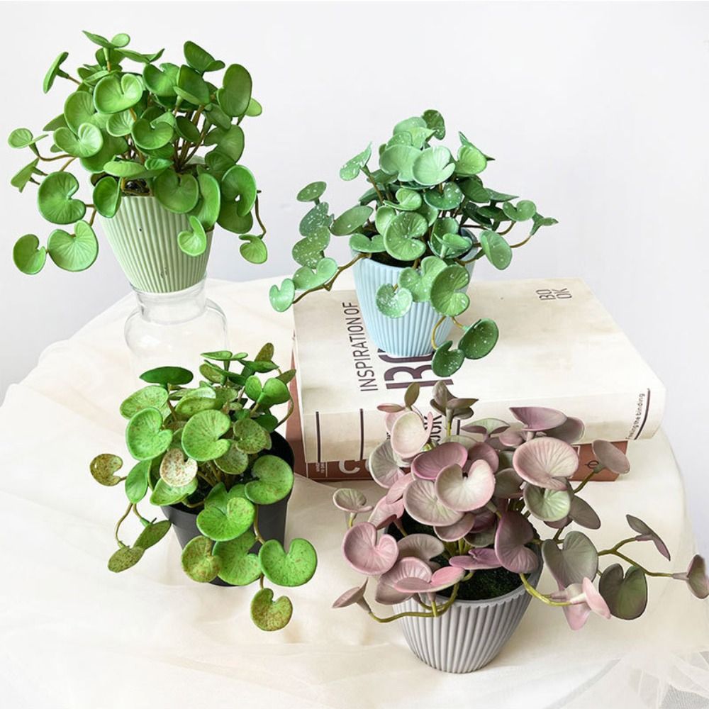 Zachte lijm Kunstplant EVA Gro - Echeveria Succulent recensie en prijs