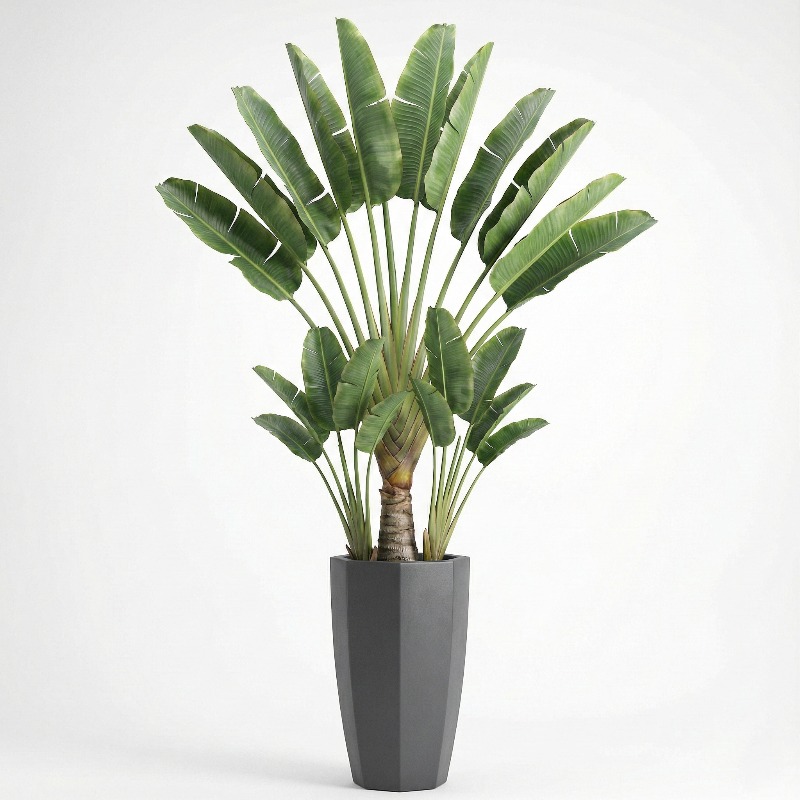 Hoogrealistische kunstmatige F - Ficus Lyrata Tree recensie en prijs