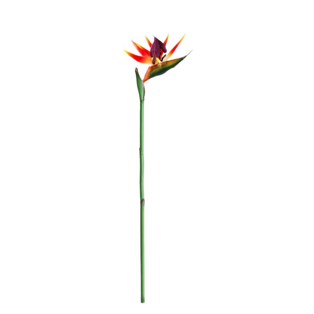 Kunstmatige Paradijsvogelbloem - Bird Paradise Strelitzia recensie en prijs