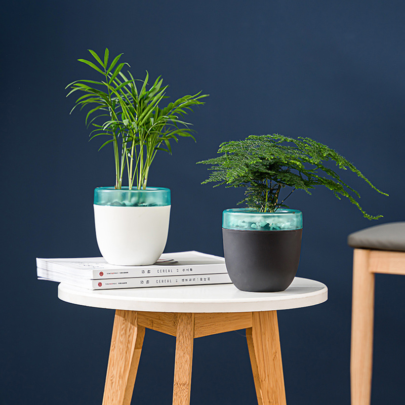 Automatische wateropname Luie  - Aloe Vera Pot recensie en prijs