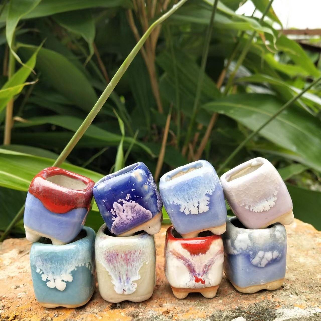 10 Stuks Mini Keramiek Fowerpo - Echeveria Succulent recensie en prijs