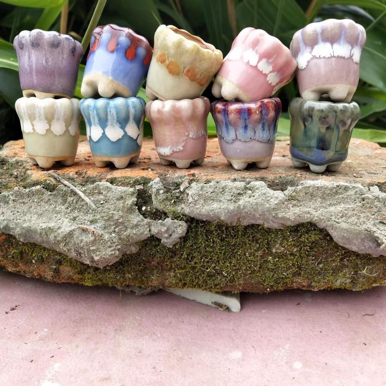 10 Stuks Mini Keramiek Fowerpo - Echeveria Succulent recensie en prijs