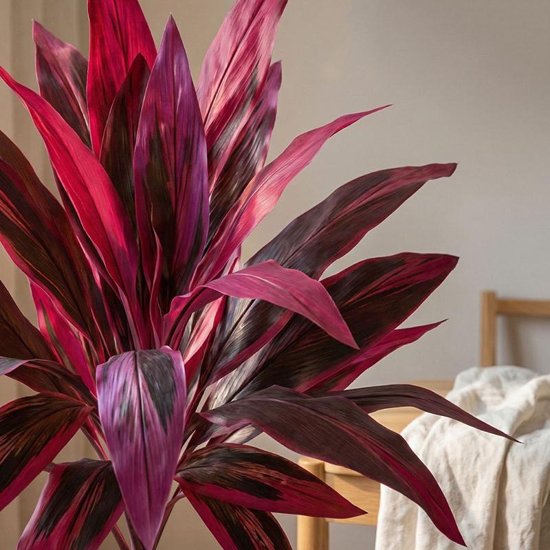 Grote Kunstmatige Dracaena Mar - Dracaena Marginata recensie en prijs