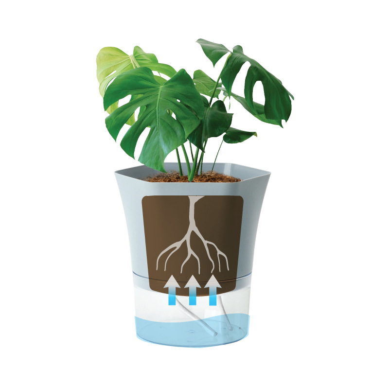 Transparante plastic zelfwater - Aloe Vera Pot recensie en prijs