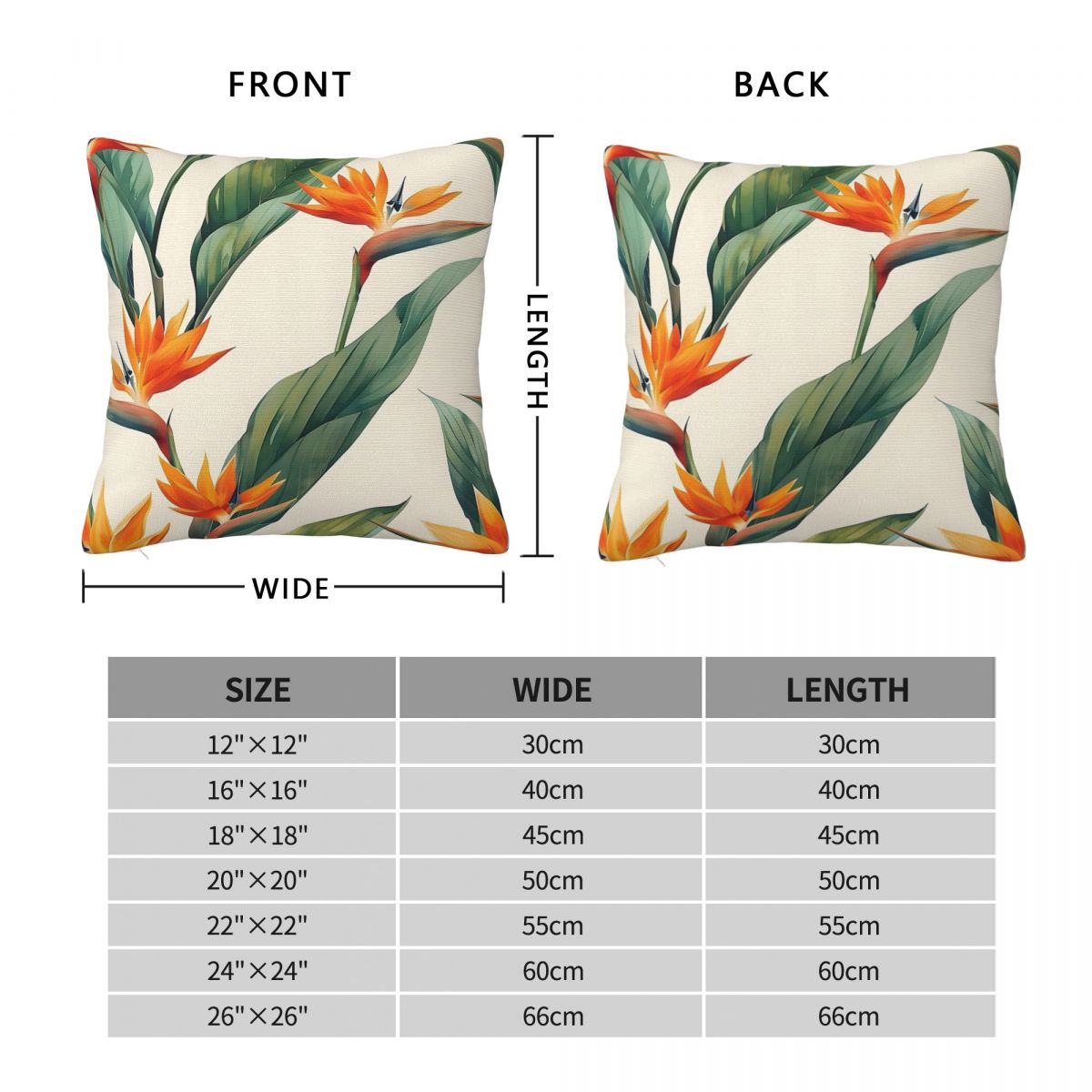Bird Of Paradise Strelitzia vi - Bird Paradise Strelitzia recensie en prijs