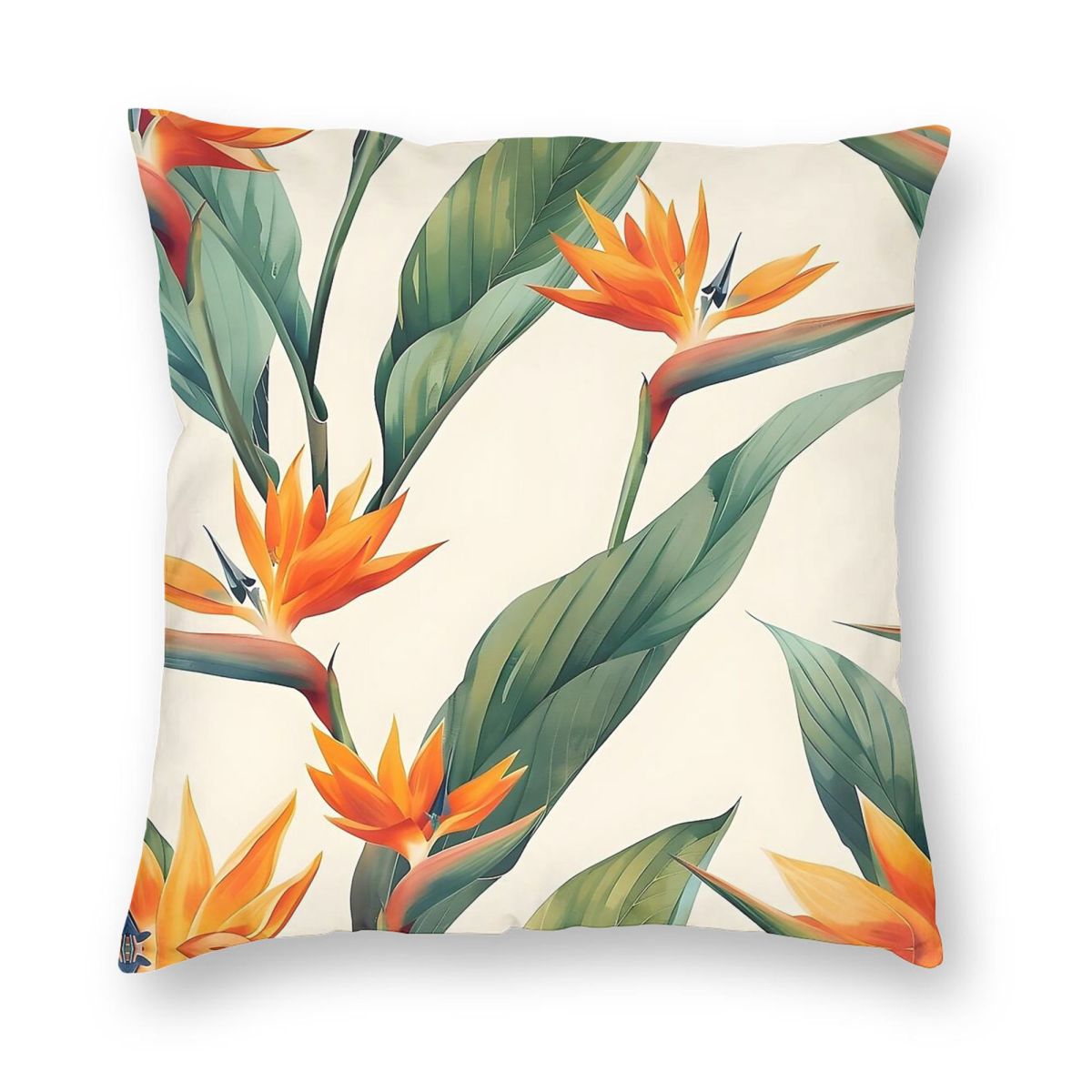 Bird Of Paradise Strelitzia vi - Bird Paradise Strelitzia recensie en prijs