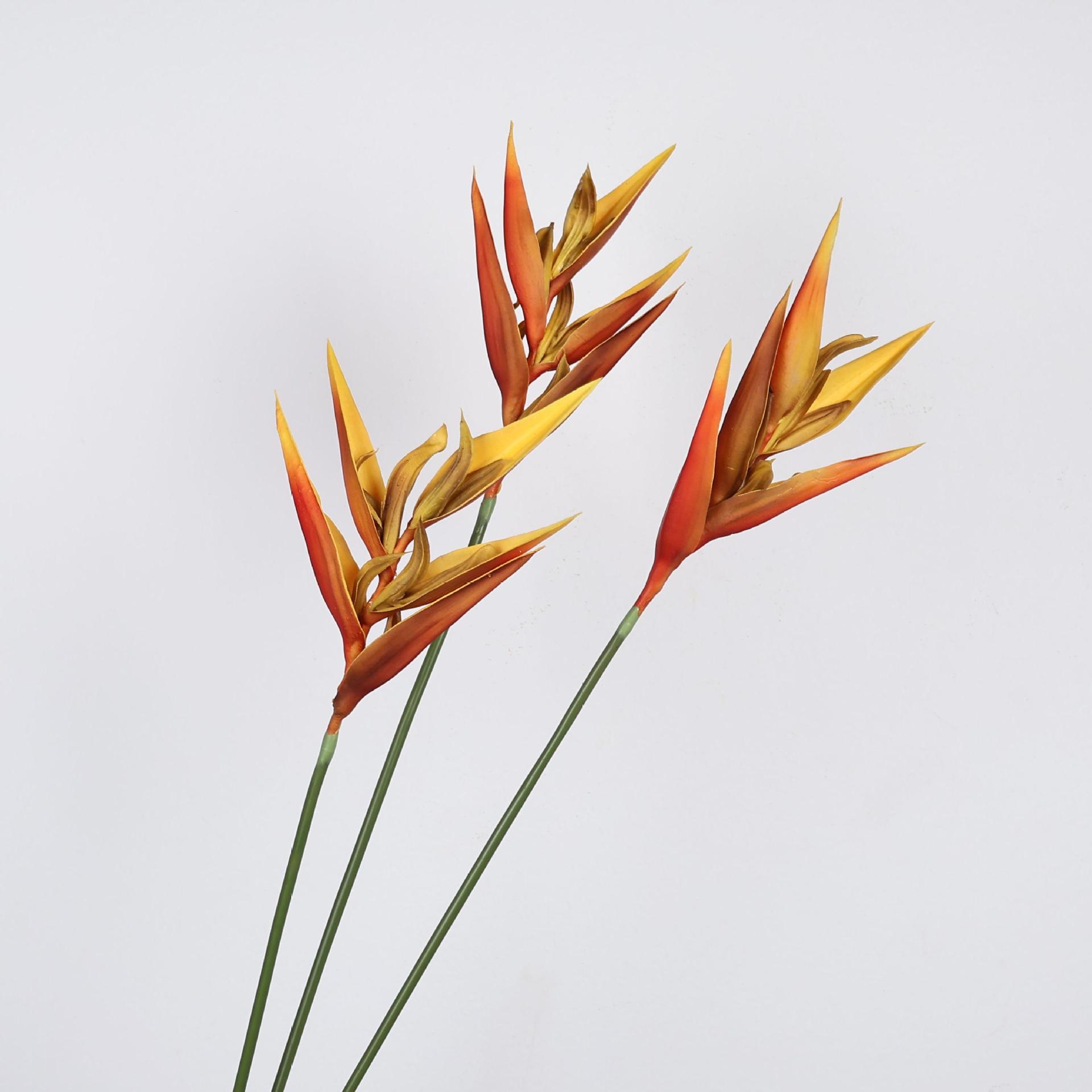 36,6 inch kunstmatige paradijs - Bird Paradise Strelitzia recensie en prijs
