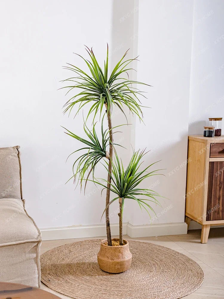 Licht Luxe Simulatie Groene Pl - Dracaena Marginata recensie en prijs