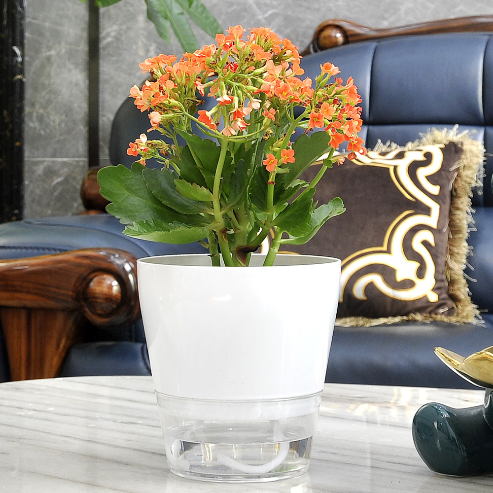 Luie bloem met afvoergat Zelfw - Aloe Vera Pot recensie en prijs