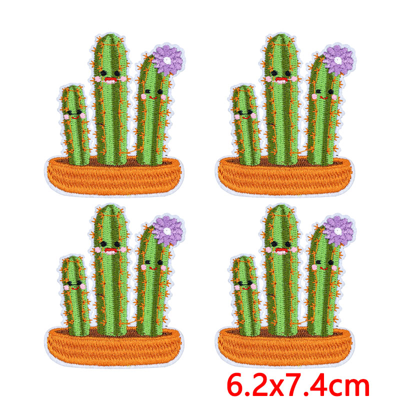 10 stks/partij Westerse Woesti - Aloe Vera Pot recensie en prijs