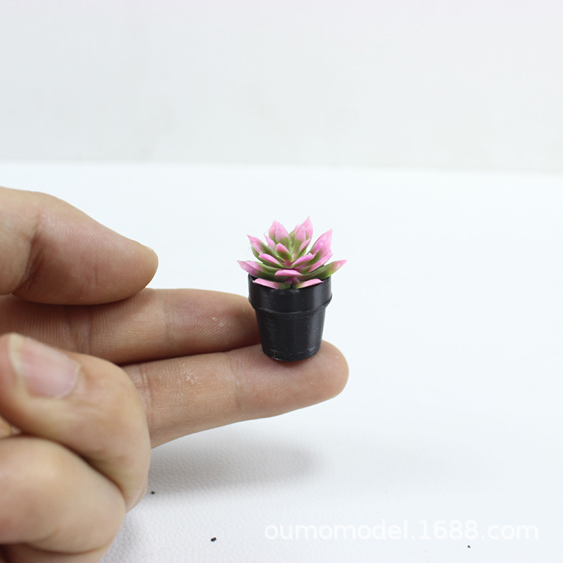 Mini gesimuleerde planten Cact - Echeveria Succulent recensie en prijs