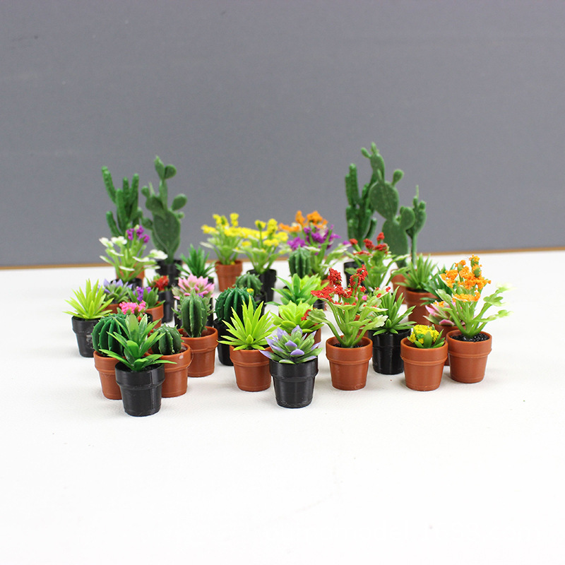 Mini gesimuleerde planten Cact - Echeveria Succulent recensie en prijs