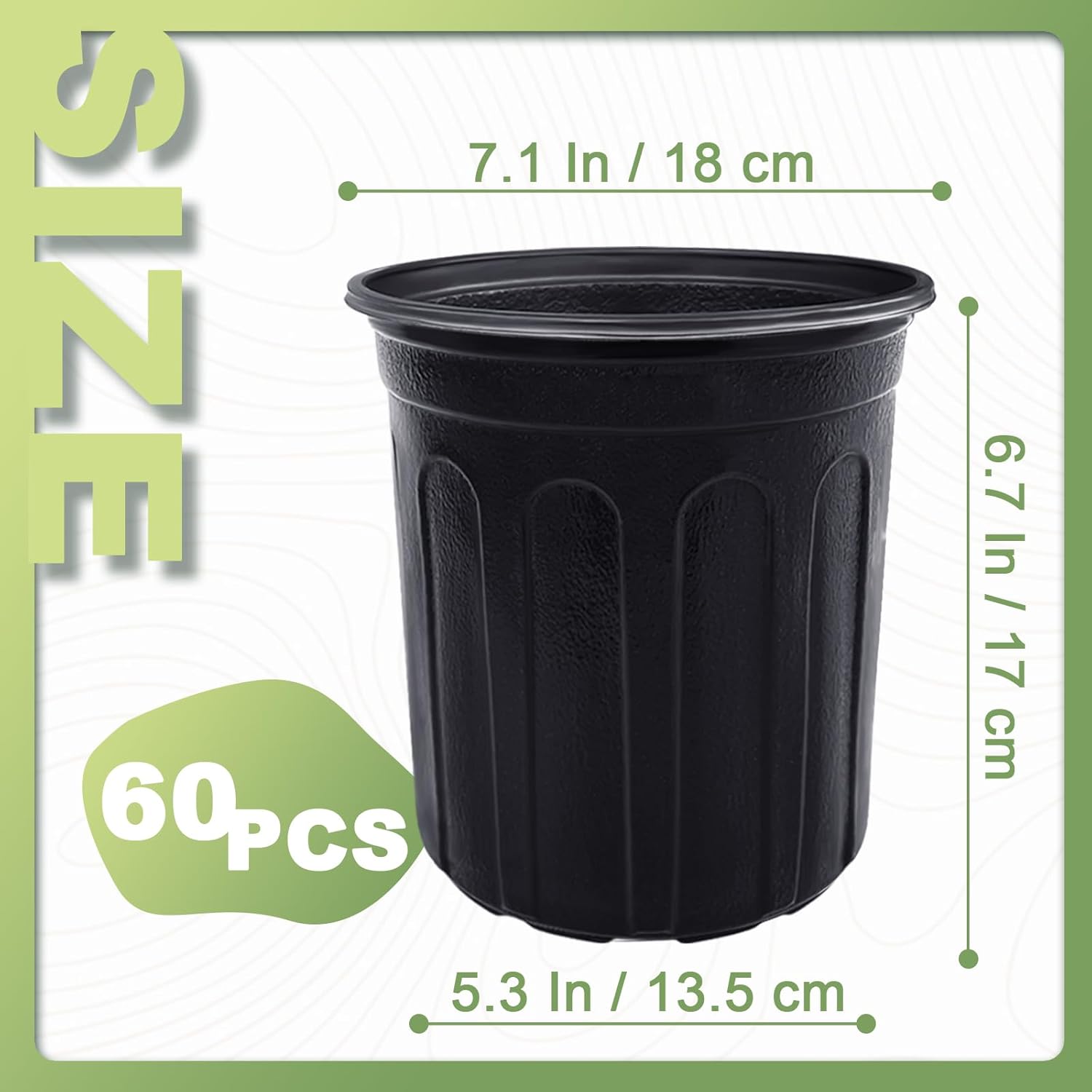 60 stuks 1 gallon flexibele pl - Echeveria Succulent recensie en prijs