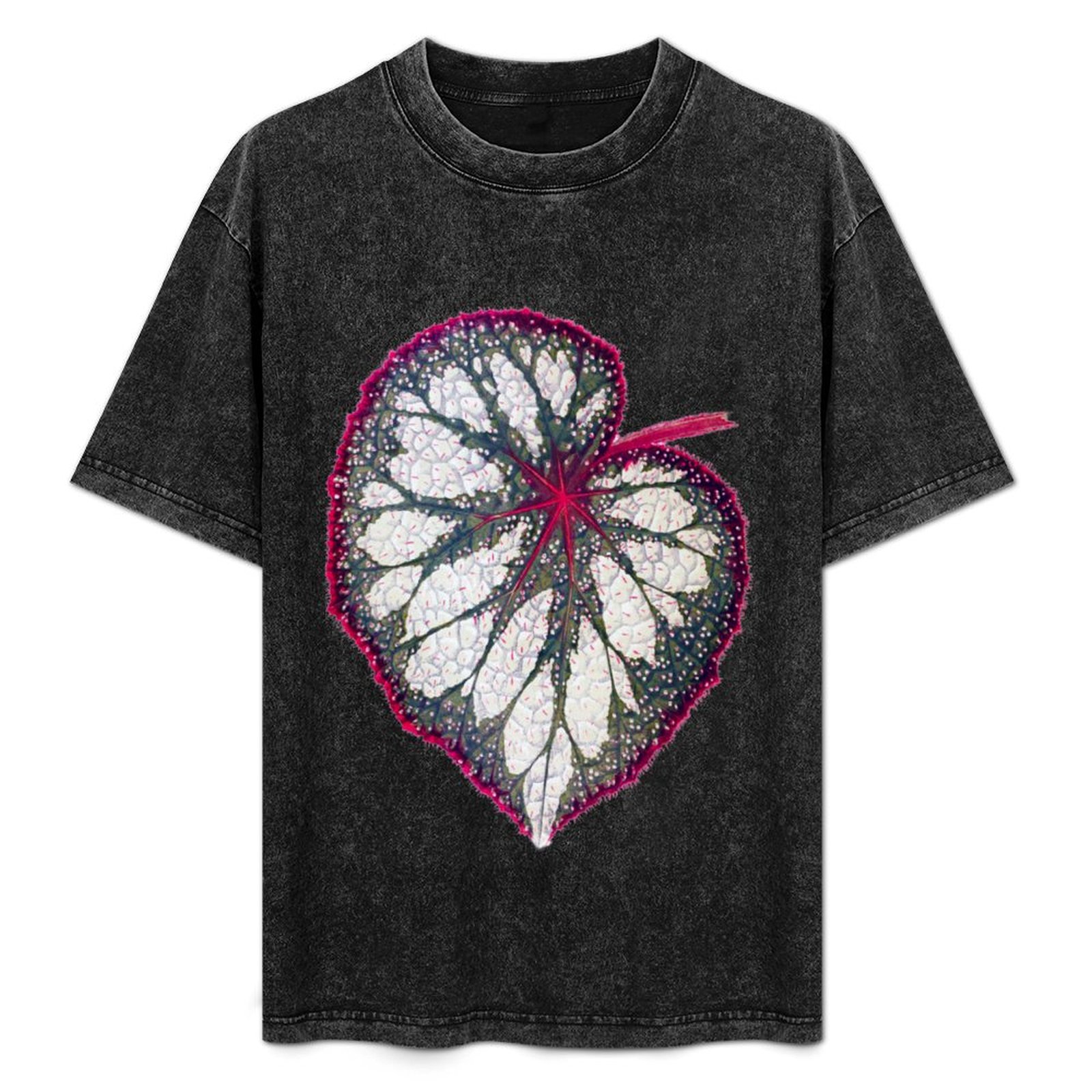 Begonia rex T-shirt Vakantie e - Begonia Rex recensie en prijs