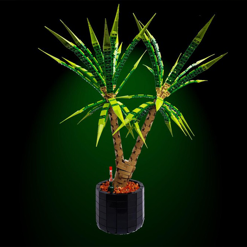 1961-delige MOC Dracaena Margi - Dracaena Marginata recensie en prijs