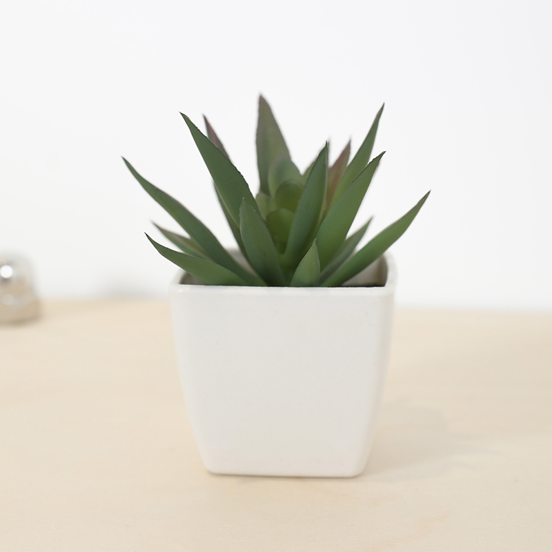 Mini Kunstmatige Succulente Fe - Echeveria Succulent recensie en prijs
