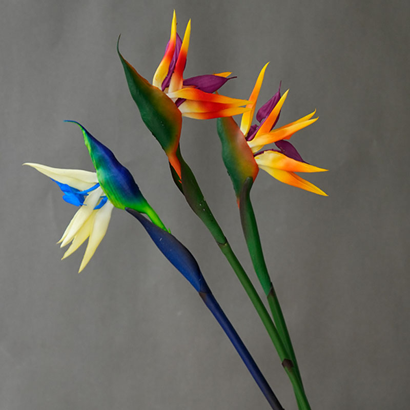 1PC Kunstmatige Paradijsvogel  - Bird Paradise Strelitzia recensie en prijs